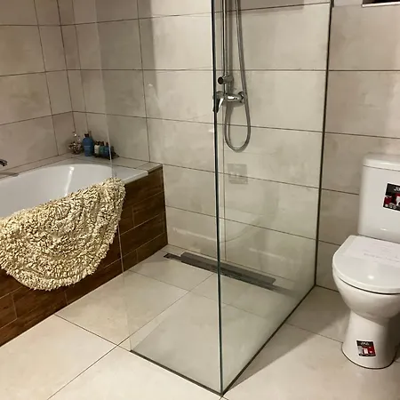 Dum Ve Skalaku