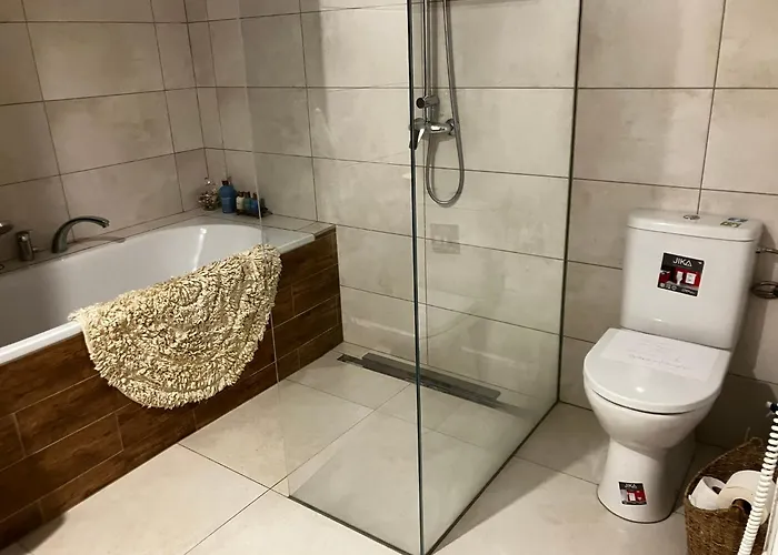 Dum Ve Skalaku